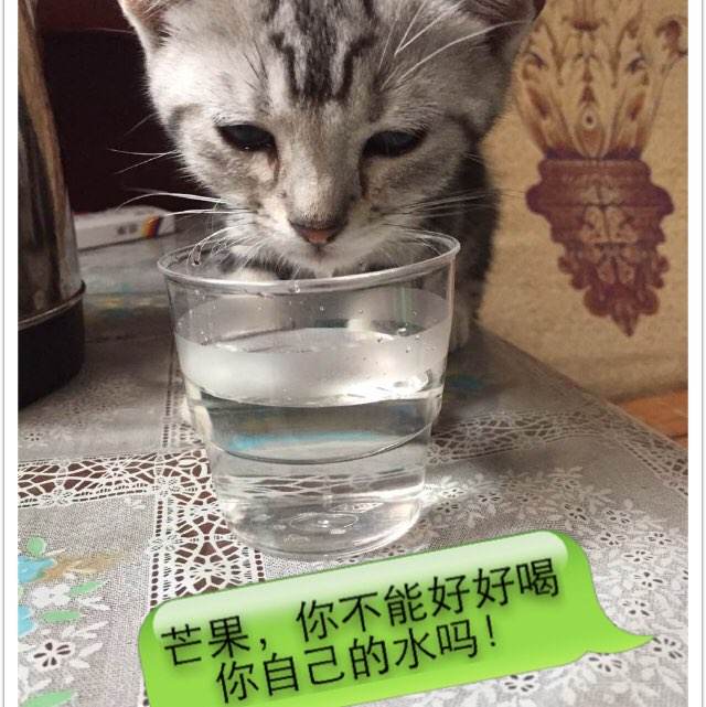 哪里可以办俄勒冈卫生与科技大学学位证